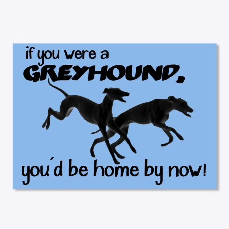 A Greyhound would be Home by Now!